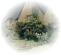 Carol's Vision of The Circle