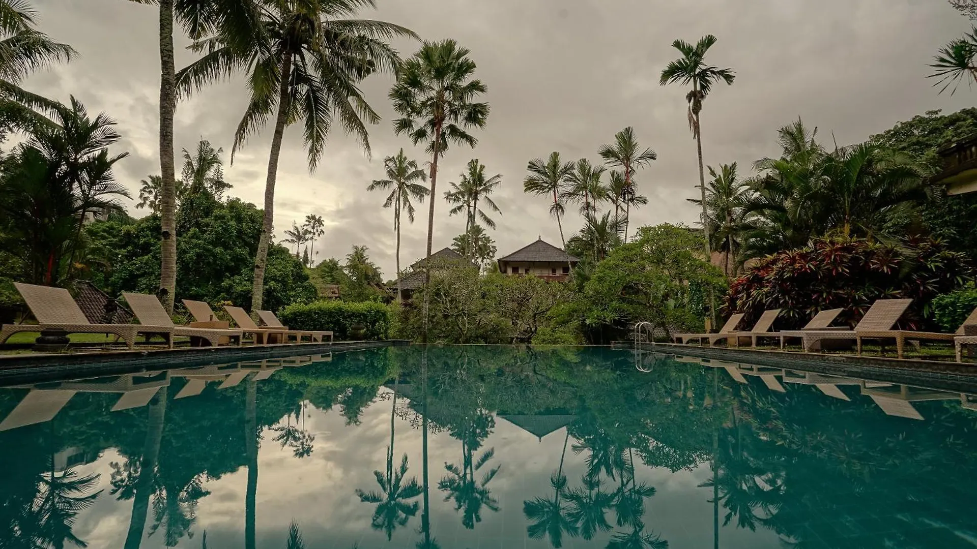 5 Family-Friendly Hotels in Ubud City-Centre Worth Booking